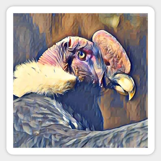 Andean Condor Sticker by Sharonzoolady